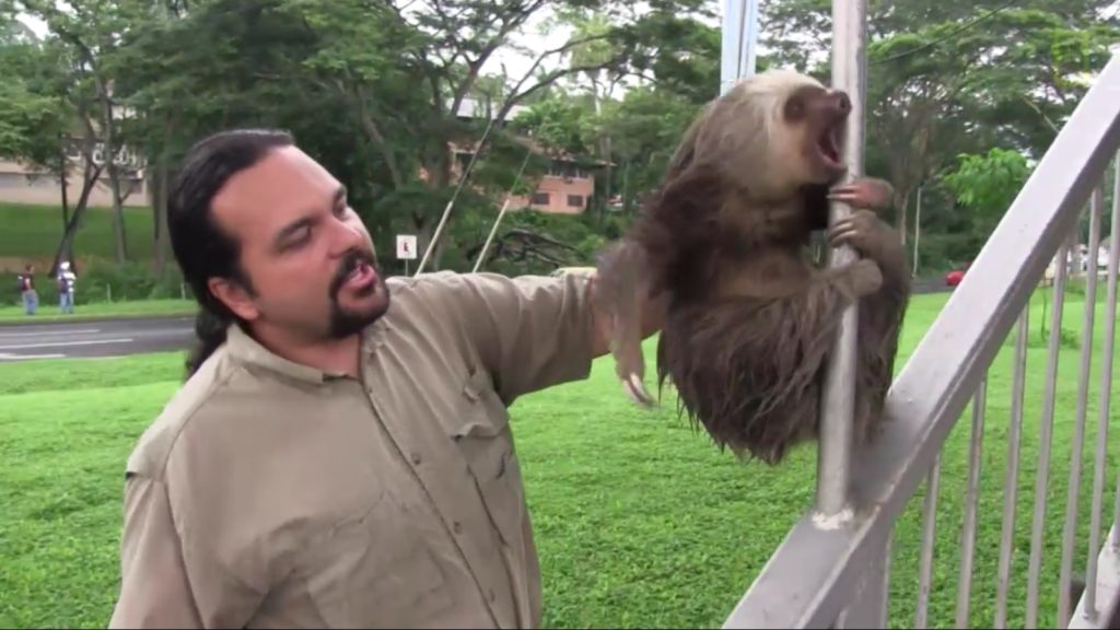 demon-possessed sloth (7)