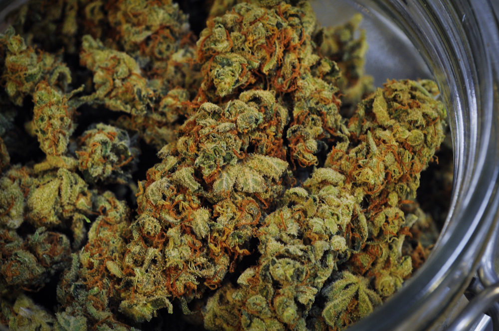 weed porn weed porn