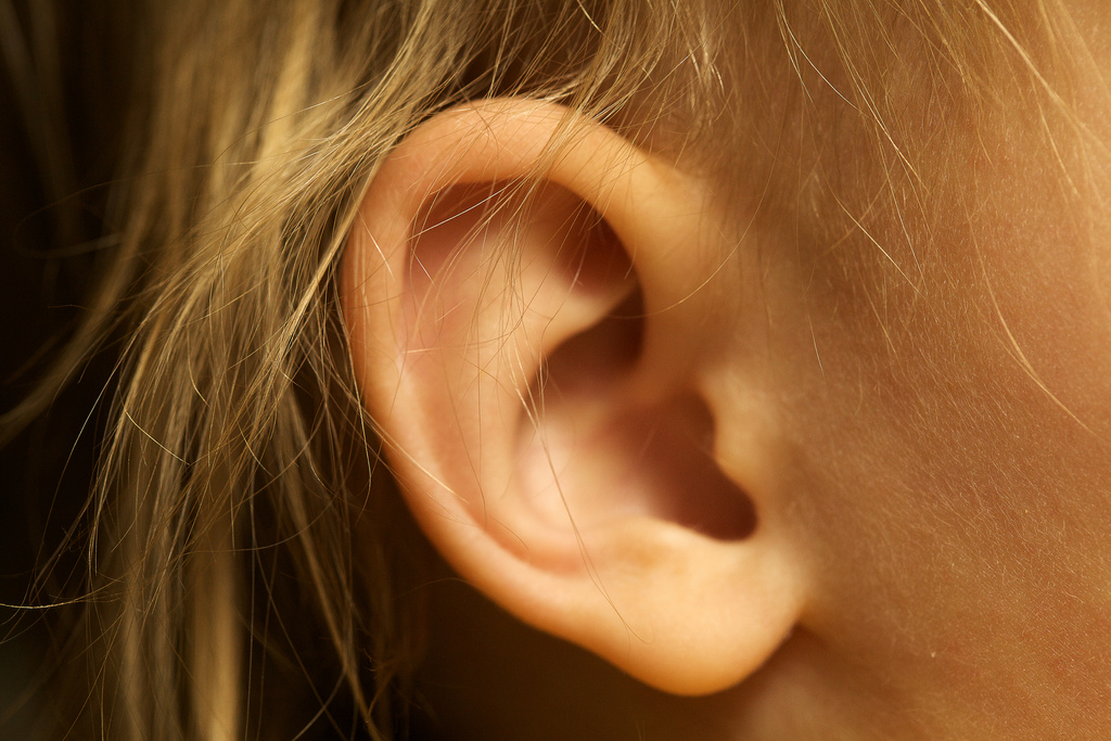 Kid's ear