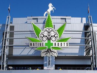 Native Roots at Mile High