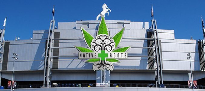 Native Roots at Mile High