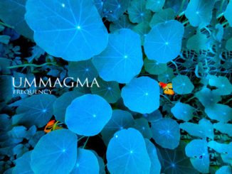 Ummagma Frequency Artwork