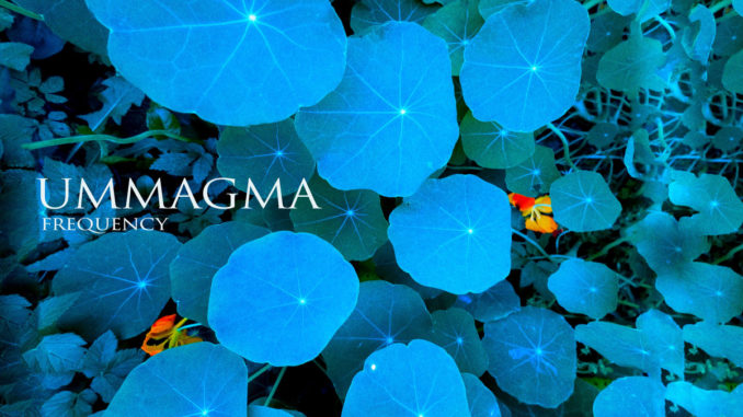 Ummagma Frequency Artwork Ummagma Frequency Artwork