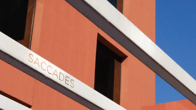 Saccades Cover Art Saccades Cover Art