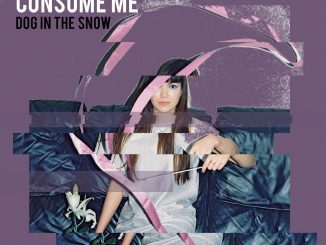 Dog In The Snow - Consume Me cover art