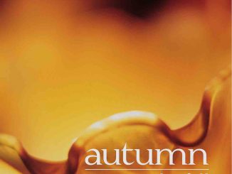 autumn - the fall (cover)
