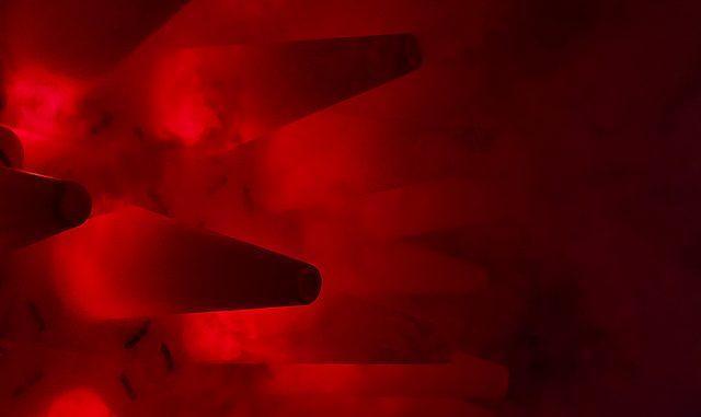 Red black alien red black alien