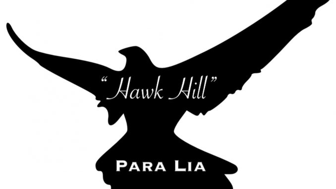 Para Lia - Hawk Hill (cover)